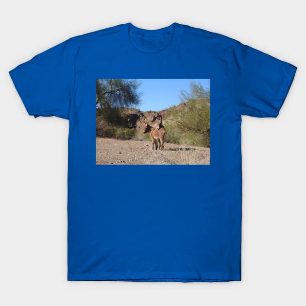 Wild burros, donkeys, wildlife, wild animals T-Shirt by sandyo2ly